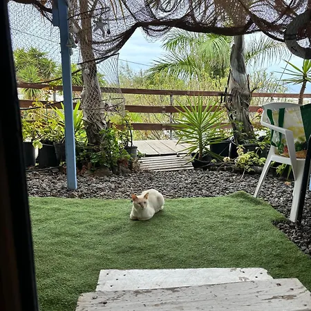 Invernaderito キャンプ場