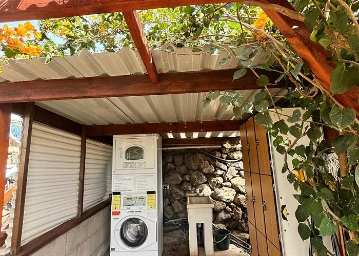 Invernaderito Техина