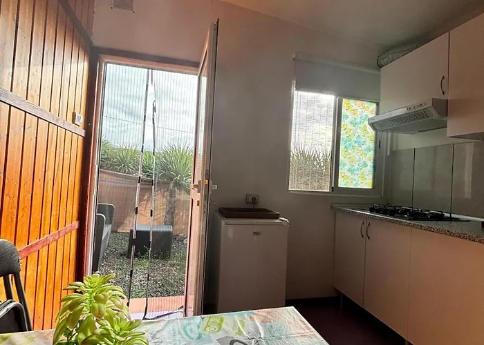 Invernaderito * Техина