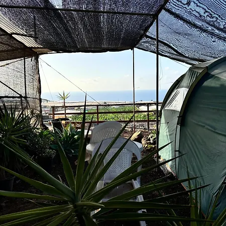 Invernaderito * Tejina