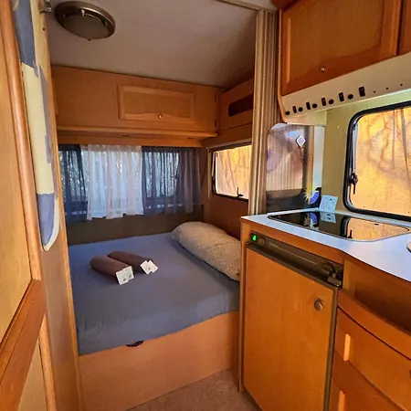 Invernaderito Camping Tejina