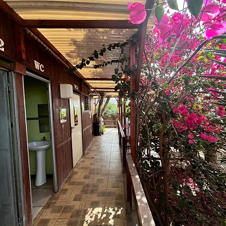 Invernaderito Camping Tejina