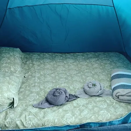 Invernaderito * Tejina