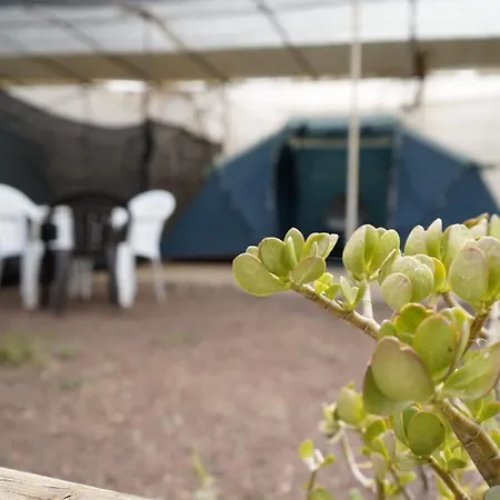 Üdülőpark Agrocamping Invernaderito *