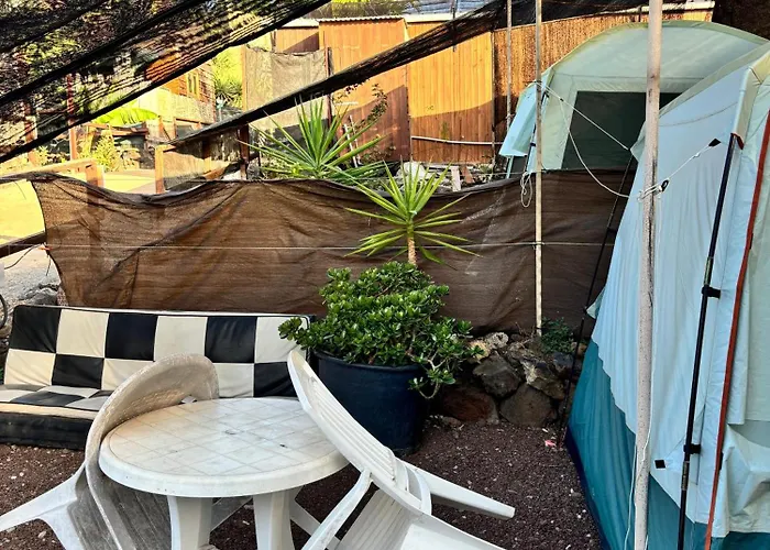 Agrocamping Invernaderito Kemp