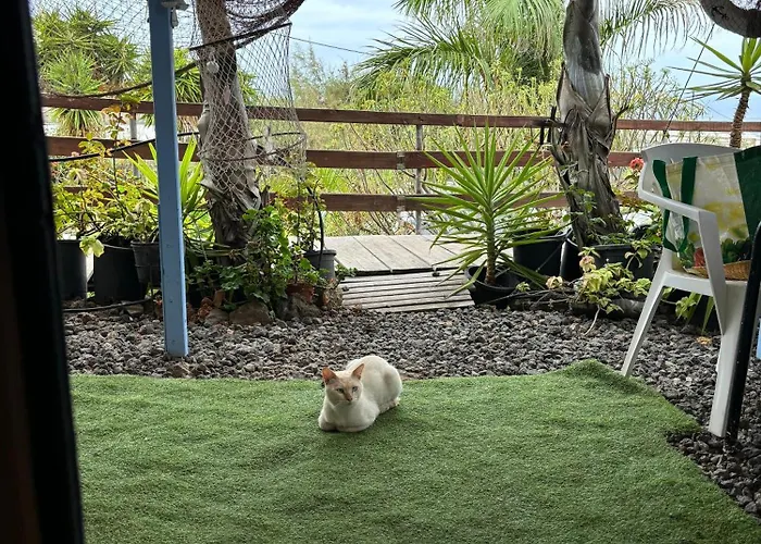 Agrocamping Invernaderito Kemp