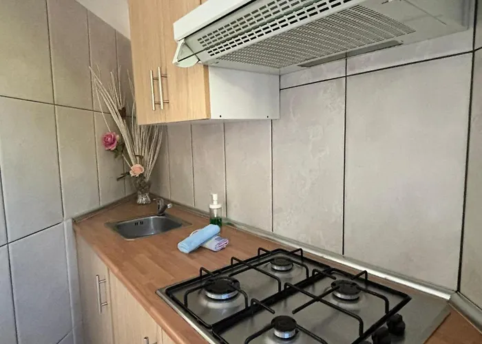 Agrocamping Invernaderito Kemp *