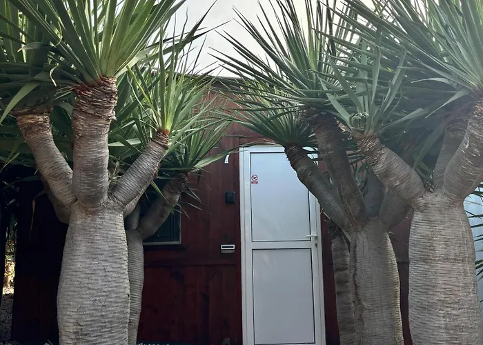 Agrocamping Invernaderito Tejina