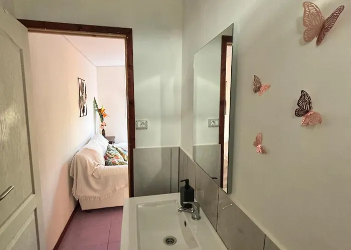 Invernaderito * Tejina