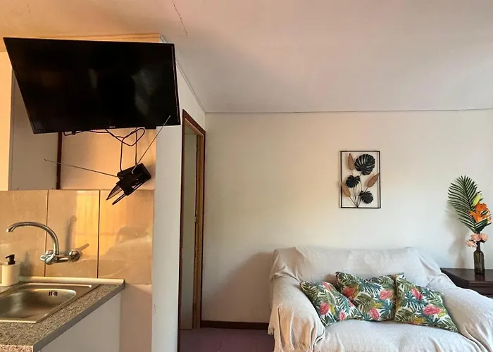 Agrocamping Invernaderito Kemp *